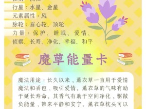 薰衣草研究所网站入口——带你探索薰衣草的奥秘