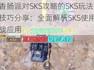 基于香肠派对SKS攻略的SKS玩法及实战技巧分享：全面解析SKS使用技巧与实战应用