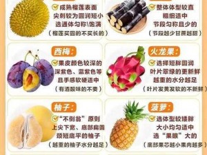 水果、蔬菜、植物，多样选择满足您的需求