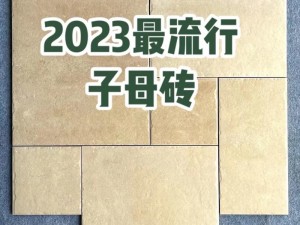 亚洲砖码砖专无区 2023——畅享无限制的亚洲精彩内容