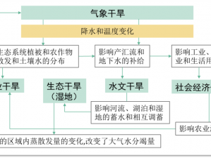 符文工厂5中鲁妮天气对作物生长影响的深度解析：气候变迁如何作用于作物生长与收成