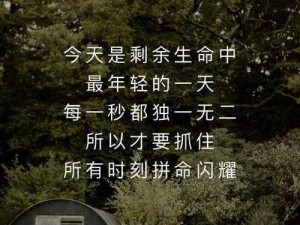 快来 lalala，享受高品质生活