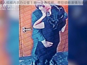 成人视频内衣办公室 1 卷一 3 卷视频，带您领略激情与诱惑