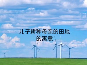 儿子辛勤耕耘母亲的土地、儿子辛勤耕耘母亲的土地，这片土地承载着母亲的期望和儿子的奋斗