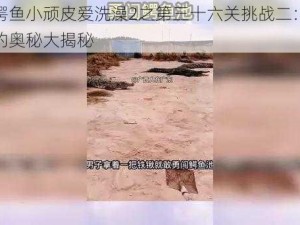 勇闯鳄鱼小顽皮爱洗澡2之第三十六关挑战二：迷雾沼泽的奥秘大揭秘