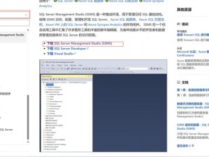 肥胖 VPSWINDOWS，大容量存储，让你的数据不再无处安放