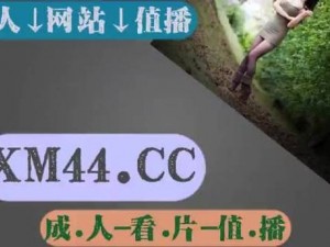 欧美乱码 1 卡 2 卡三卡 4 卡，畅享高清画质，无广告骚扰