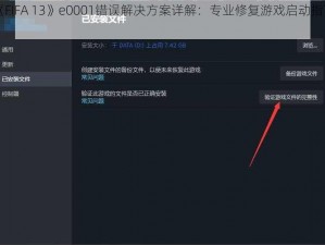 《FIFA 13》e0001错误解决方案详解：专业修复游戏启动指南》