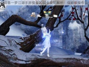 《楚留香一梦江湖手游摸金20层全攻略解析：保姆级操作指南》