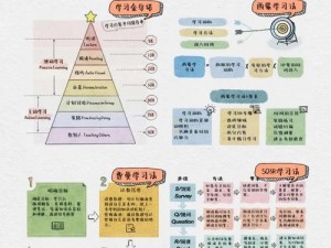 秘密教学 12 画免费：提升你的学习效率