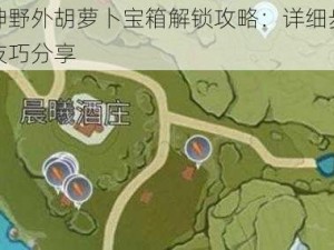 原神野外胡萝卜宝箱解锁攻略：详细步骤与技巧分享