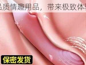 内射少妇 36P 九色，高品质情趣用品，带来极致体验