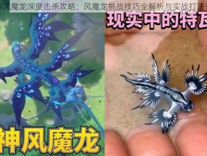 原神风魔龙深度击杀攻略：风魔龙挑战技巧全解析与实战打法详解