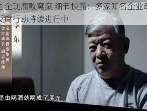 百亿国企现腐败窝案 细节披露：多家知名企业牵涉其中，反腐行动持续进行中