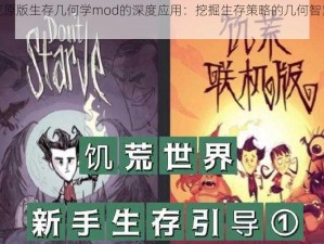 饥荒原版生存几何学mod的深度应用：挖掘生存策略的几何智慧之道