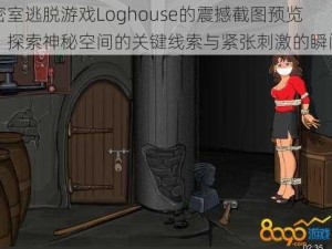 密室逃脱游戏Loghouse的震撼截图预览：探索神秘空间的关键线索与紧张刺激的瞬间