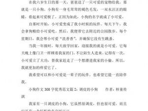 和狗狗干了四年都没事作文：揭秘一款神奇的宠物用品