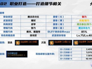 DNF冰结师职业技能深度解析与资料详解手册