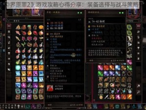 《神界原罪2》游戏攻略心得分享：装备选择与战斗策略详解