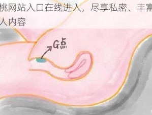 蜜桃网站入口在线进入，尽享私密、丰富的成人内容