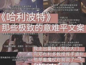 《哈利波特：探索魔法之旅——恒久无暇手帕的获得之谜》