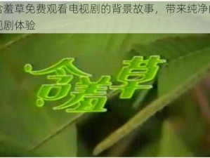 含羞草免费观看电视剧的背景故事，带来纯净的观剧体验