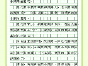 把 P P 打烂的作文修正带