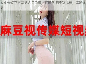 麻豆文化传媒官方网站入口免费，汇聚各类精彩视频，满足你的所有需求