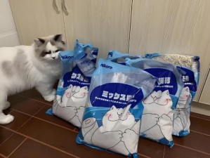 猫咪地域网名入口 639cf，一个为铲屎官们提供猫咪用品的宝藏之地