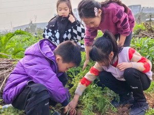 女孩子怎么体验拔萝卜的感觉-女孩子可以通过农业劳动或参与相关活动来体验拔萝卜的感觉