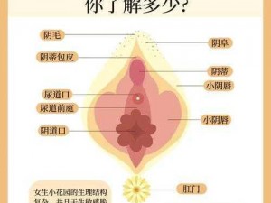 女生迈开腿和男生扑克的区别——女生专用私密护理品牌