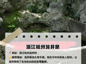 何氏汤泉探秘之旅：线索大全与图鉴分享，尽览天下泉水奥秘