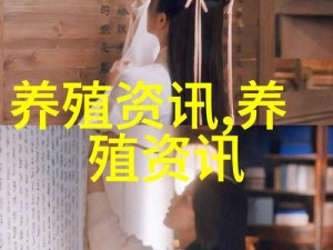 9612 进入黄桃网站页面小说，免费阅读无广告，精彩内容等你发现