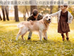 狗狗进里面就变大视频：让你的宠物更健康、更快乐