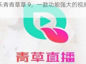 青娱乐青青草草 9，一款功能强大的视频播放软件