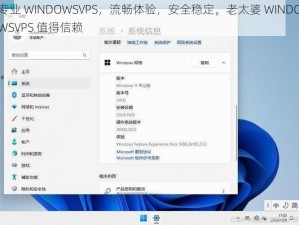 专业 WINDOWSVPS，流畅体验，安全稳定，老太婆 WINDOWSVPS 值得信赖