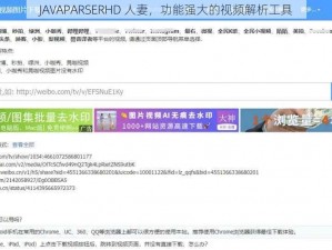 JAVAPARSERHD 人妻，功能强大的视频解析工具