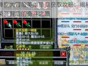 弹弹堂大冒险英雄勋章获取攻略：揭秘勋章荣誉背后的奋斗之路