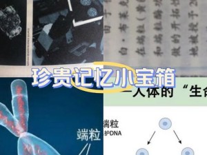 有没有搞过自己的亲人的——探索 DNA 鉴定的秘密