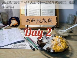 成品禁用短视频 APP 大全 IOS——汇聚海量短视频，拒绝低俗内容