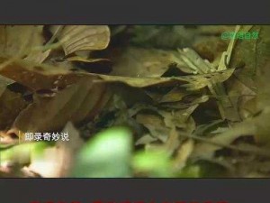 百度搜索，发现更多惊喜