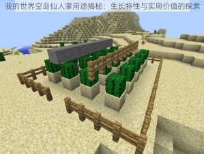 我的世界空岛仙人掌用途揭秘：生长特性与实用价值的探索