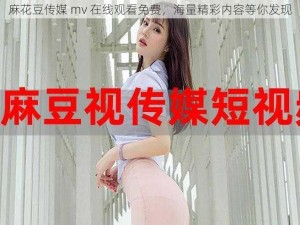 麻花豆传媒 mv 在线观看免费，海量精彩内容等你发现