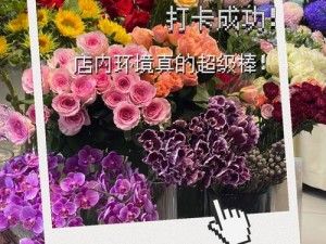 花了一晚上，终于找到了这款心仪的产品