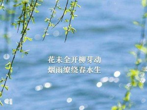 春雨直播 APP 免费观看视频，聚合海量视频资源，提供高清流畅的播放体验