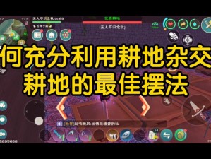 创造与魔法：耕地叠加技术探索：如何种植及多层叠加之谜揭秘