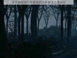 关于森林洞穴中黑暗的多种解决方案探讨