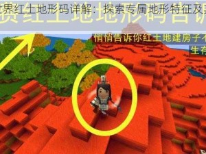 迷你世界红土地形码详解：探索专属地形特征及其获取方式