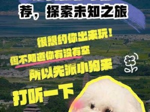 探索未知之旅：不思议迷宫熔岩祭坛的决策选择之道