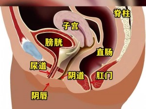 满肚子浓精涨走路子宫-走一步，肚子里的浓精就往外流